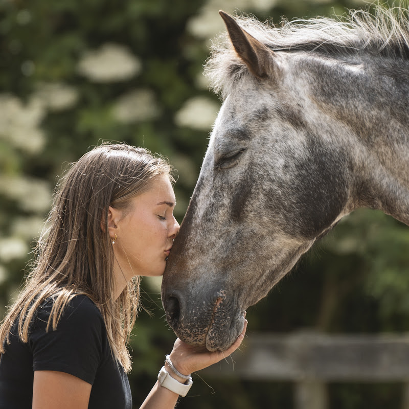 Leren met paarden