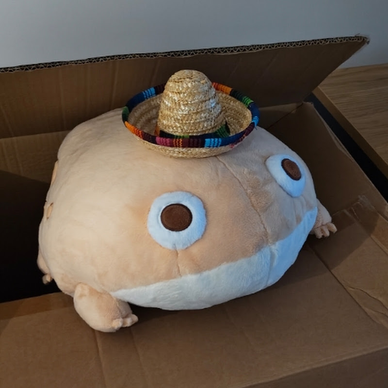 pomerakchild