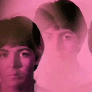 Emilia dei Moonquakes