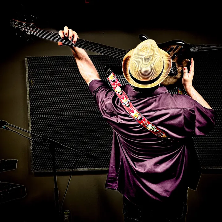 Daniel Hedberg Musician