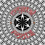 Crystal Roots Macrame