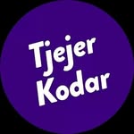 Tjejer kodar