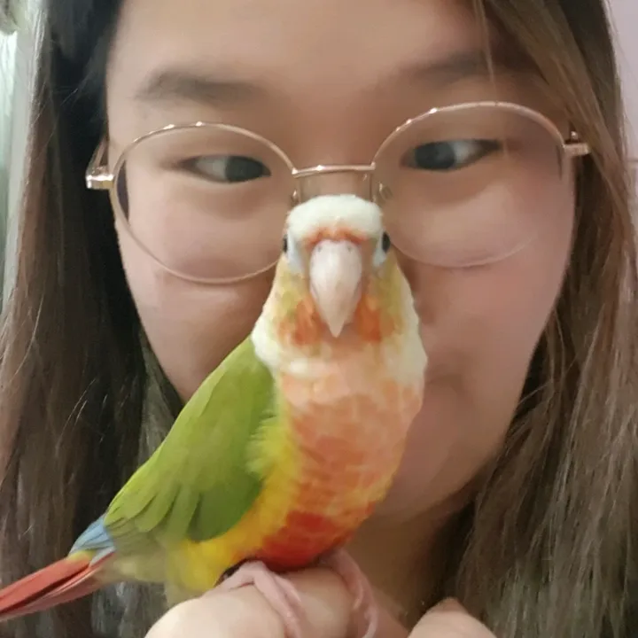 FruityFlock
