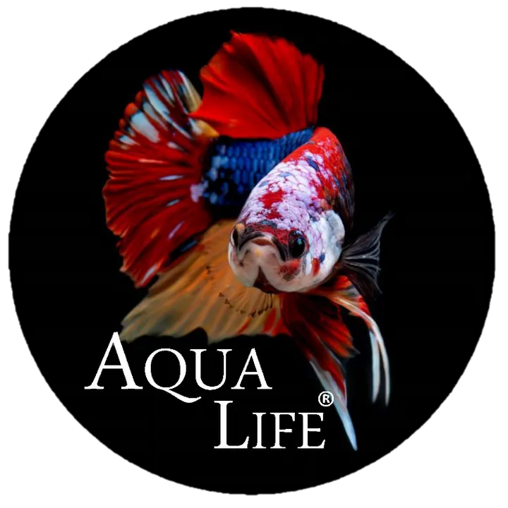 Aqua Life