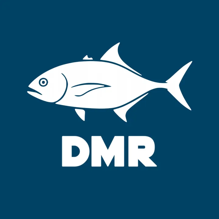 DMR FiSHING