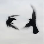 Fahad