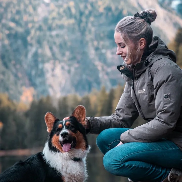 Starbright Diamonds 🐶