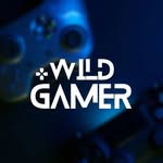 gamerzpvtltd
