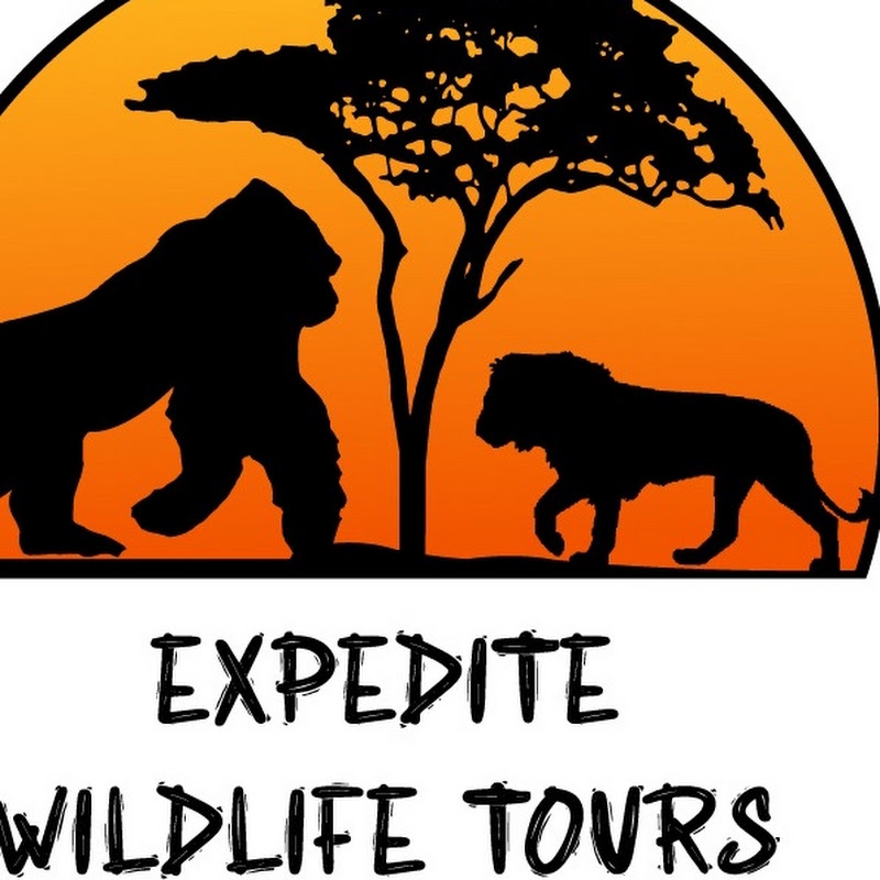Expedite Wildlife Tours
