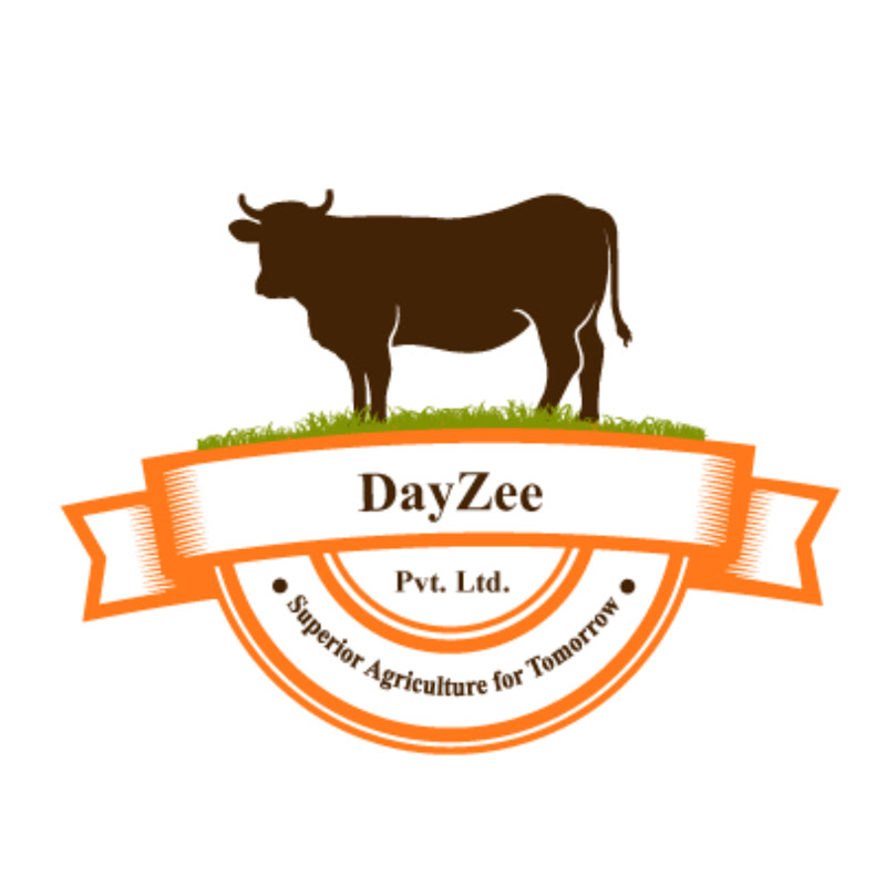 DayZee