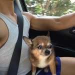 Jaypee Reyes Lobaton