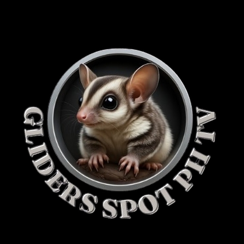 GLIDER SPOT TV PH