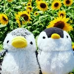 かわゆーずファーム