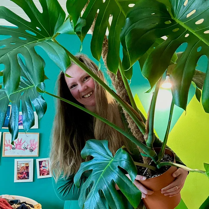 plantitrudi