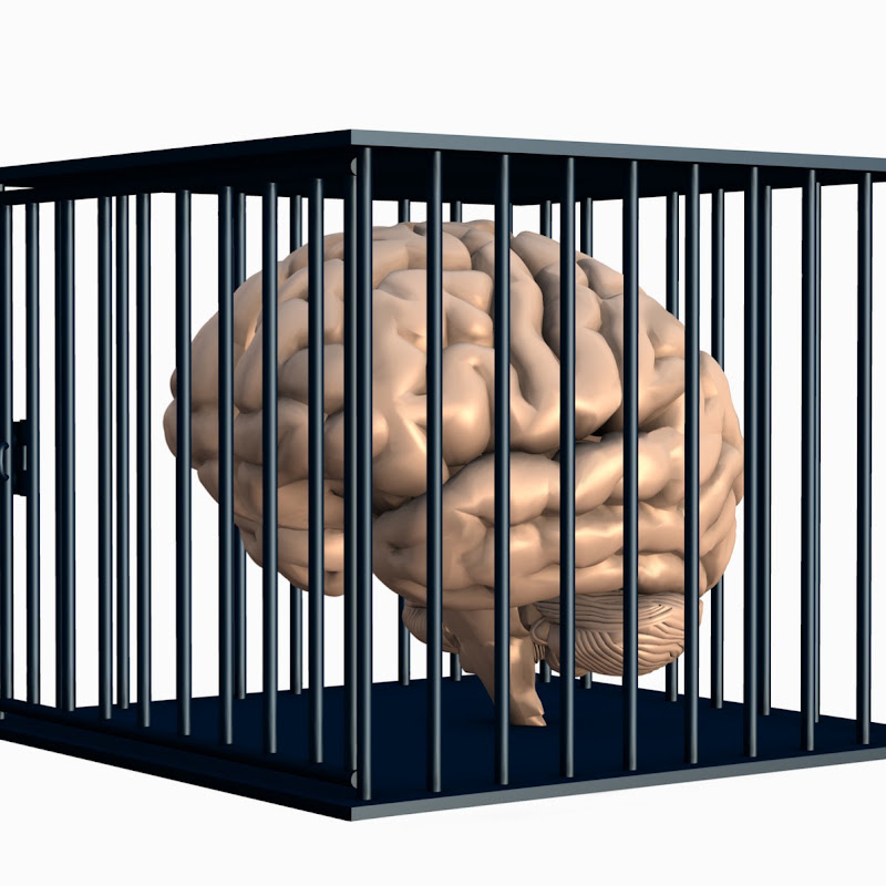 Dr Ahmed Adam Official: A Beautiful Brain