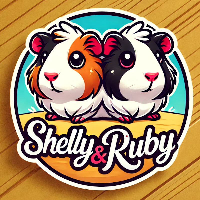 Shelly theguineapig