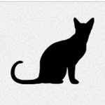 Beyond Nine Cat Rescue