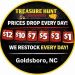 Treasurehuntgoldsboro
