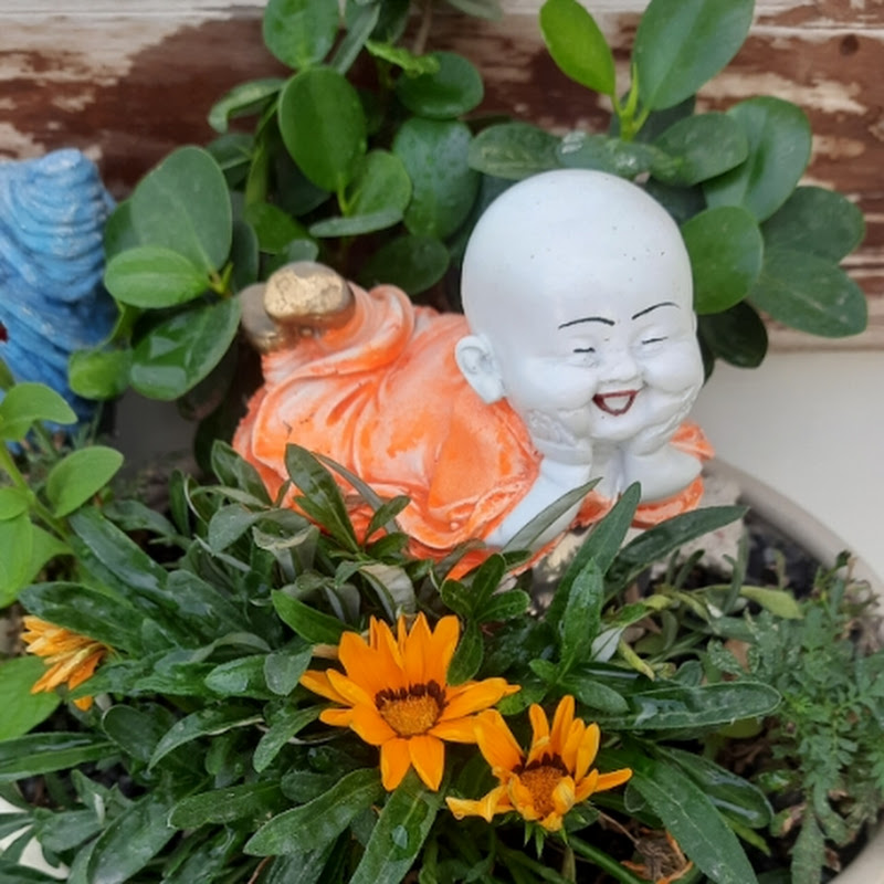 Decoration with Nature