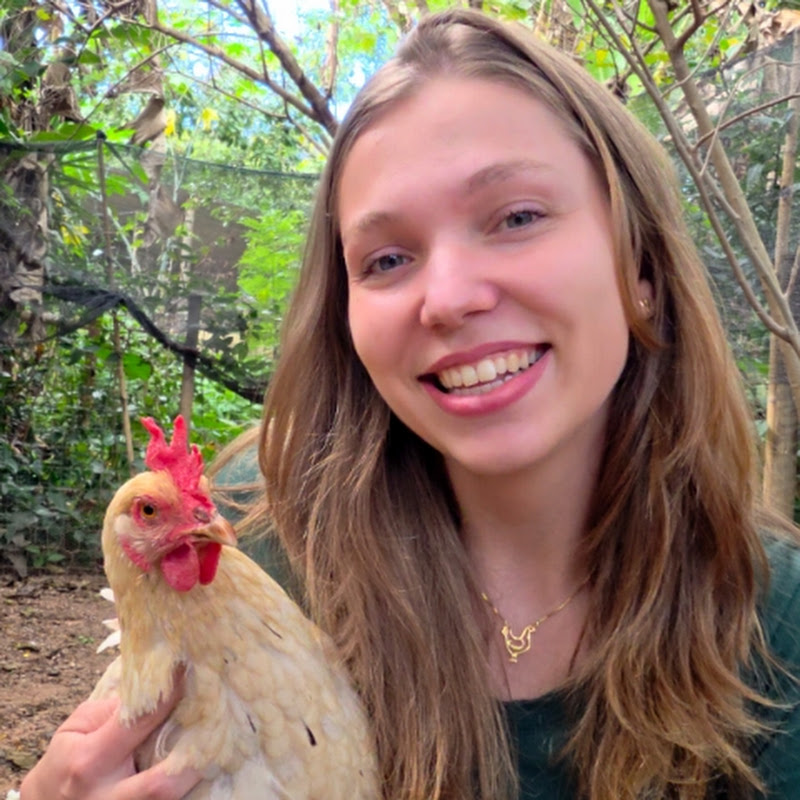 Laura Sayda 💚 Vida na roça e galinhas pet 🐔