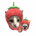 dipi🧚🏻‍♀️bebi😺bedu🙀