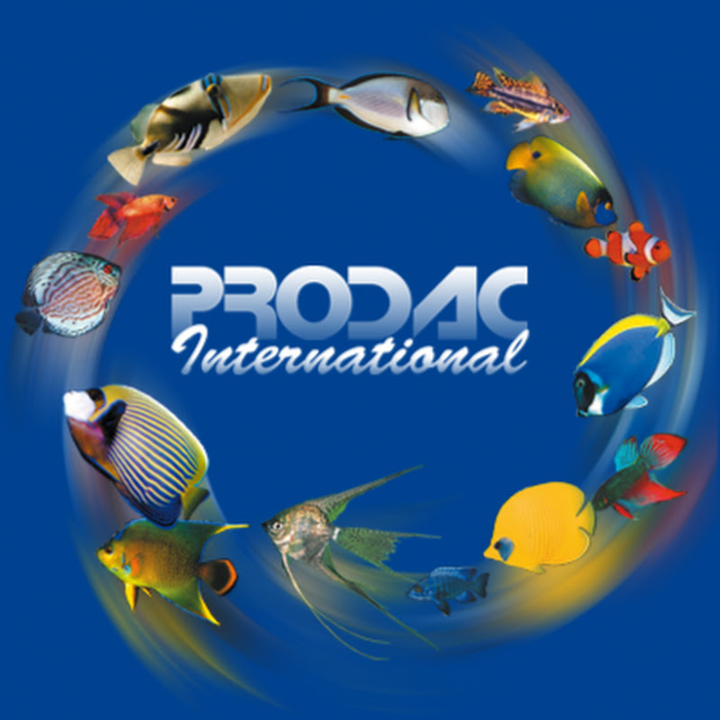 Prodac International