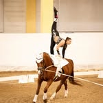 𝐿𝑒𝑜𝓃𝒾𝑒 | austrian vaulter