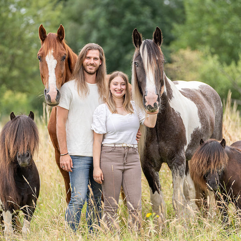 Dwally's Horses