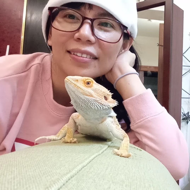 YULI QQ ADVENTURE