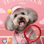 Didi the Sweetie 🐶🇭🇰
