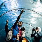 Underwater World Langkawi