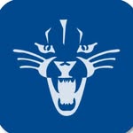 Deep Run Wildcats Official