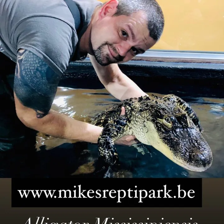 Mike_s_Reptipark