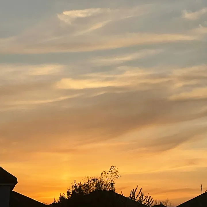 tadhgandmeganlive🌅☀️