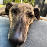 Marij Ramakers Kerkhof