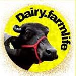 DairyFarmLife