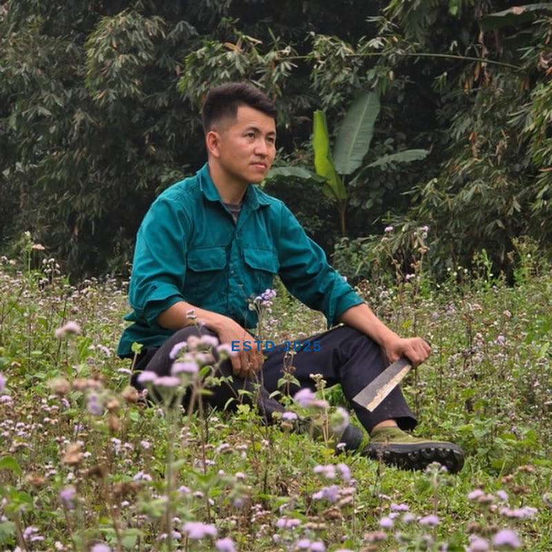 Phuong - Rural Echoes 