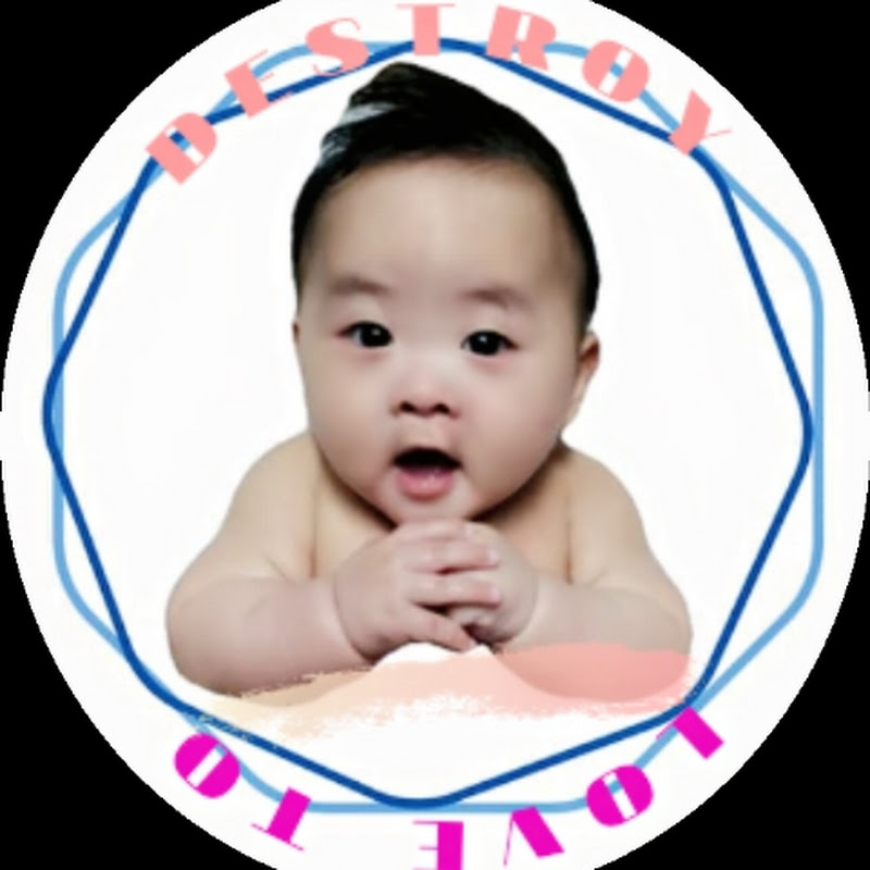 Love to destroy就愛搞破壞