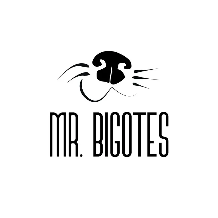 Mr. Bigotes