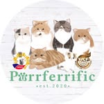 CATS | KITTENS