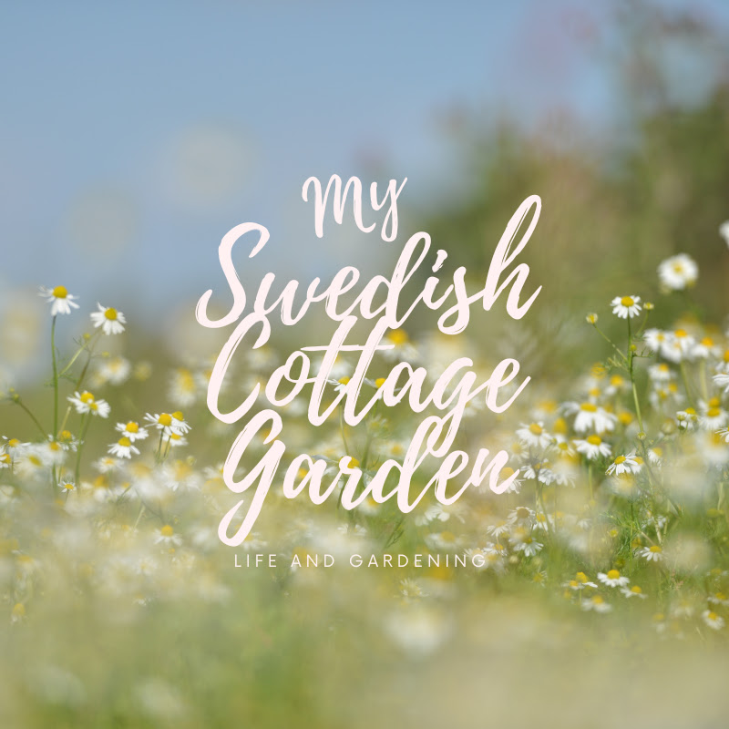 My Swedish Cottage Garden