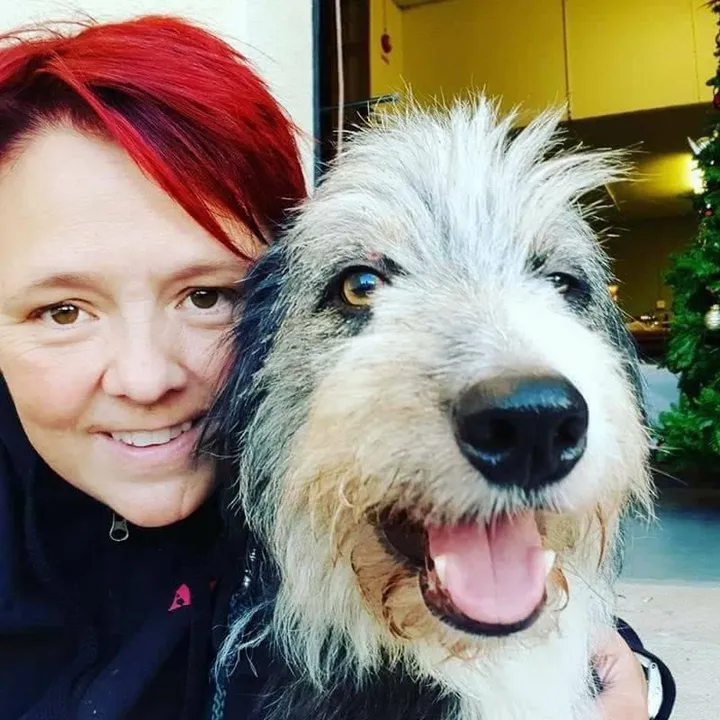TeamBissevovDogtraining🇳🇴🐾