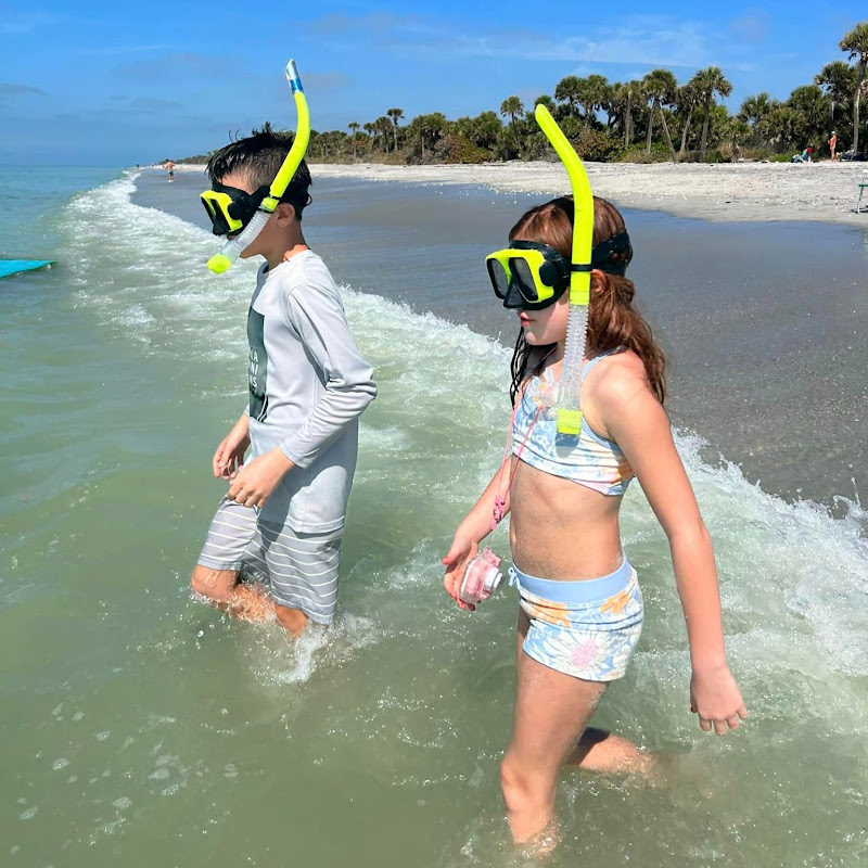 Sea and beach world