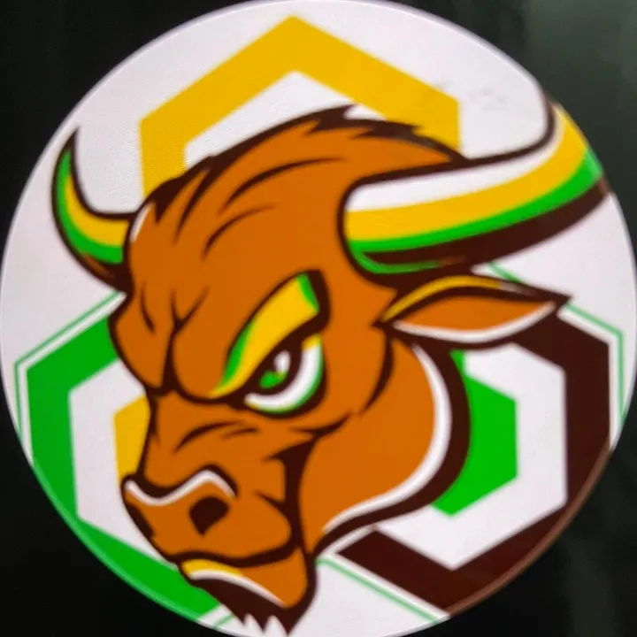 blockchainbullhornbackup