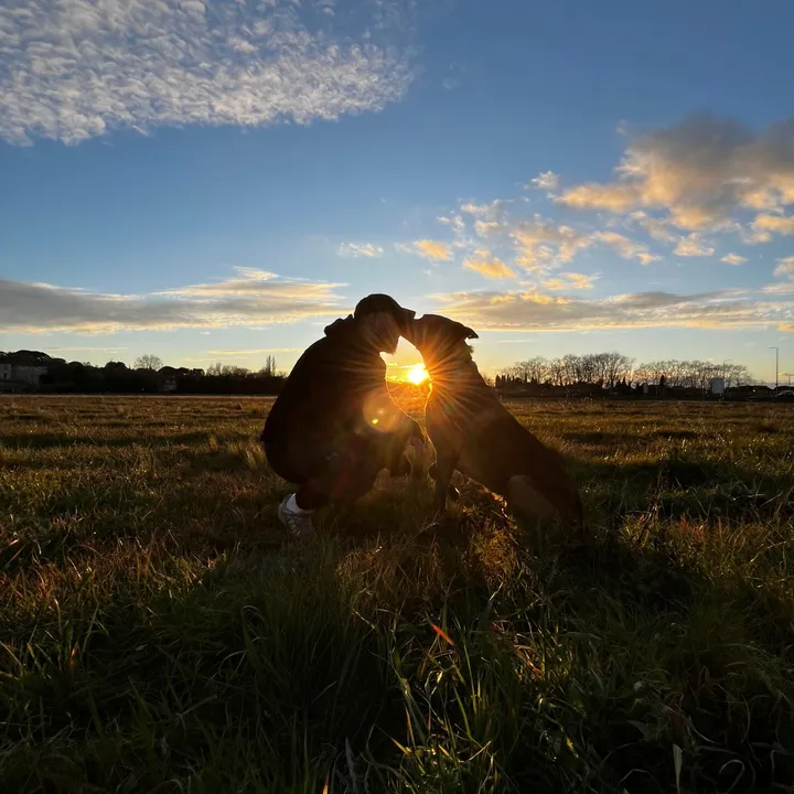 la.meute.familiale🐕
