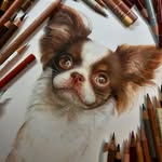 Pet Portrait Artist