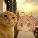 El_Tío_Gato_Shipots