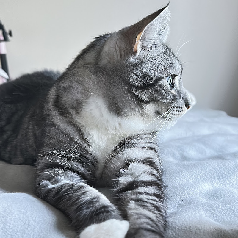 Robby’s Healing Music