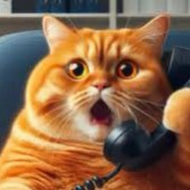 Ai Cat Videos
