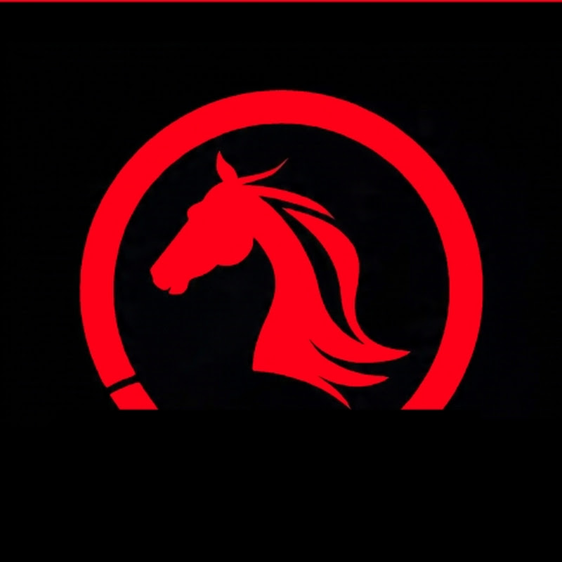 WORLD OF HORSES